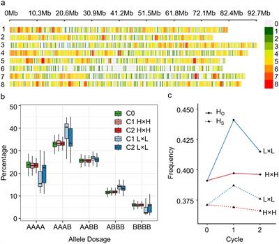 Multi-trait modeling and machine learning discover new markers associated with stem traits in alfalfa